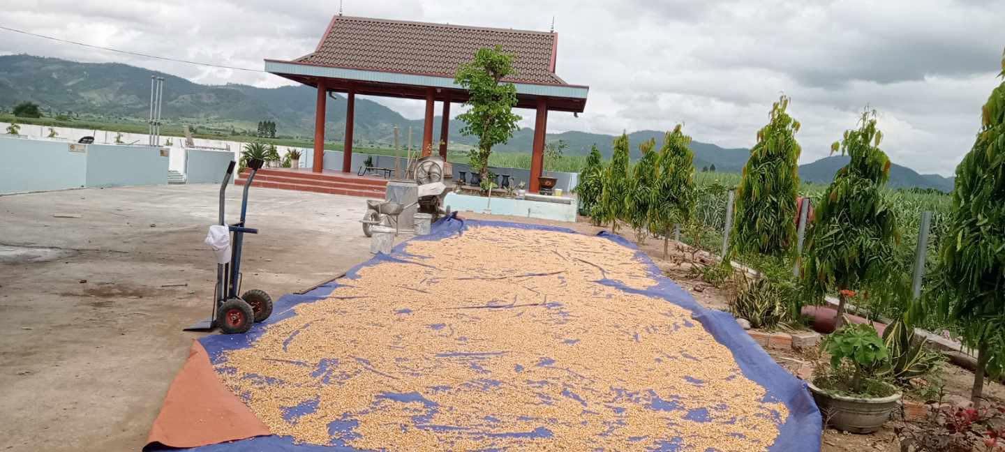 Lắp Mành Trúc Xã Thường Phước Đồng Tháp – Thi Công Mành Sáo Trúc Che Nắng Đẹp, Chuyên Nghiệp